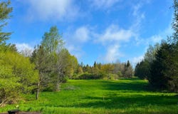 4191 Route 39, Bliss, NY 14024