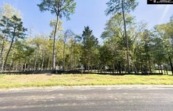 1029 Refuge Place, Chapin, SC 29036