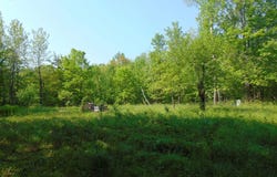TBD 1 Alston, Pelkie, MI 49958