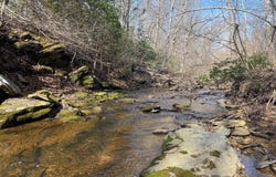 PAYNES POND RD, ARVONIA, VA 23004
