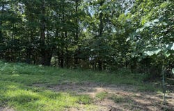 Lots 87 & 88 Crescent Ridge Subdivision, Albany, KY 42602
