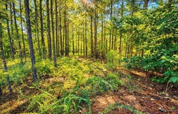 511 Terrapin Pointe Rd, Hodges, SC 29653