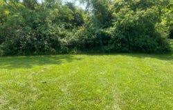 814 Conroe Drive, Radcliff, KY 40160