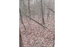 Thurman Lake Road, Cuba, MO 65453