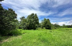 1401 N FULLERS CROSS ROAD, WINTER GARDEN, FL 34787