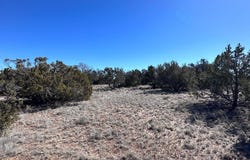 004a N N7204, St. Johns, AZ 85936