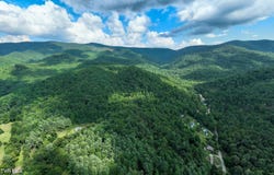 Tbd East Of Crackers Neck Road, Mountain City, TN 37683