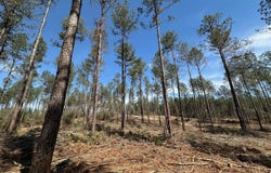 3 Highway 478, New Hebron, MS 39140