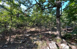 Tract 18 Trophy Ridge, Clayton, OK 74536