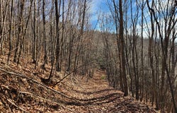 6900 Mertie Road, Millers Creek, NC 28651