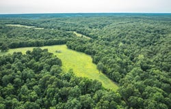 784 Burley Ridge, Cook Station, MO 65449