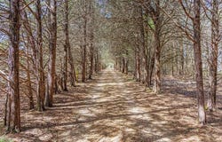 1393 County Road 2250, Ivanhoe, TX 75447