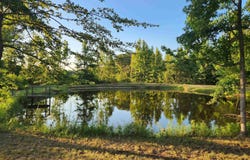 567 Eagle Road, Star City, AR 71667