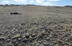 4228 Athapascan Road, Hartsel, CO 80449