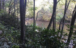 High Cliffs Trail, Spruce Pine, NC 28777