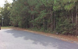 Farris Ave, ELBA, AL 36323