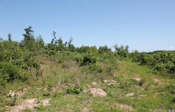 39250-9260 Hwy 27, Tilly, AR 72679