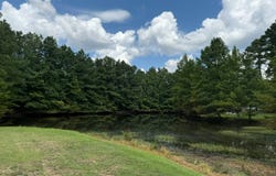 97 Chinquepin, Magnolia, AR 71753