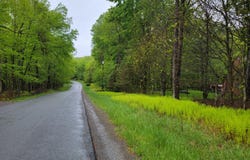 1230 N Lehigh River J Drive, Clifton Township, PA 18424