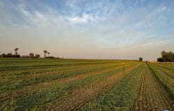 0 Hovley Rd & Hwy 111, Brawley, CA 92227