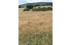 SW Lago Vistas Blvd lot: 8, Colorado City, CO 81019