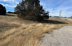 19063 White Bluff Drive, Whitney, TX 76692