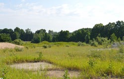 7573 ALDEN HIGHWAY, BELLAIRE, MI 49615