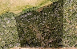 Lutolf Ln lot: 1656, Fort Garland, CO 81133