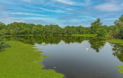601 CR 3540, Wynne, AR 72396