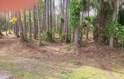 243 GEORGETOWN DENVER Road, Georgetown, FL 32139
