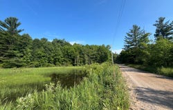 00 Stone Rd, Pitcairn, NY 13648
