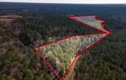 R28371 County Road 411, San Augustine, TX 75972