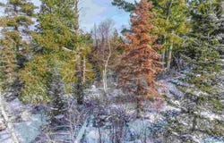 Trezona Dr, Ely, MN 55731