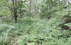 17840 Circle Drive, Boscobel, WI 53805