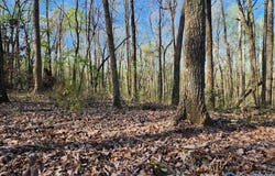 59 Acres Horse Cove Road, Gurley, AL 35748