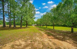 6536 Daniel Griffis Rd, Jay, FL 32565