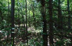 tbd Peach Creek Road, Fanshawe, OK 74935