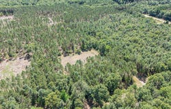 7.75 Acres Scout Road, Mears, MI 49436