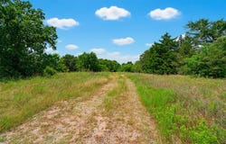 HWY 36, Milano, TX 76567