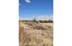 4.02 Dewitt, Snowflake, AZ 85937