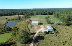 226 Pine Burr RD, LUMBERTON, MS 39455