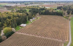 10274 EHLEN RD, Aurora, OR 97002