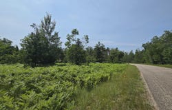 Northridge Drive lot: #82, Mancelona, MI 49659