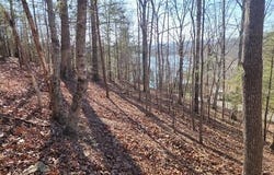 Deer Pond Circle, LaFollette, TN 37766