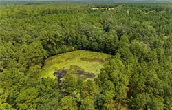 7650 Bluett Tanner Road, Wilmer, AL 36587