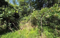 Belair Rd, Glen Spey, NY 12737