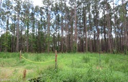 3231 Orchard Creek Road lot: 3-A, Oriental, NC 28571