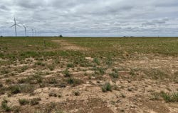 3000 County Road 5, Southland, TX 79364