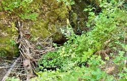 1080 Democrat Heights, Weaverville, CA 96093