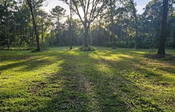 4502 SW 63RD BOULEVARD, GAINESVILLE, FL 32608